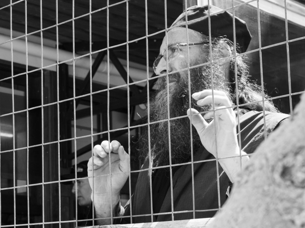 photodyssey_gallery_agion_oros_daphne_fence_august_2024