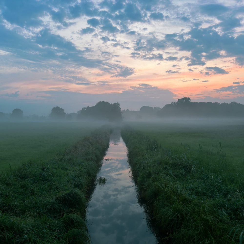photodyssey_gallery_hamburg_feld02_august_2024