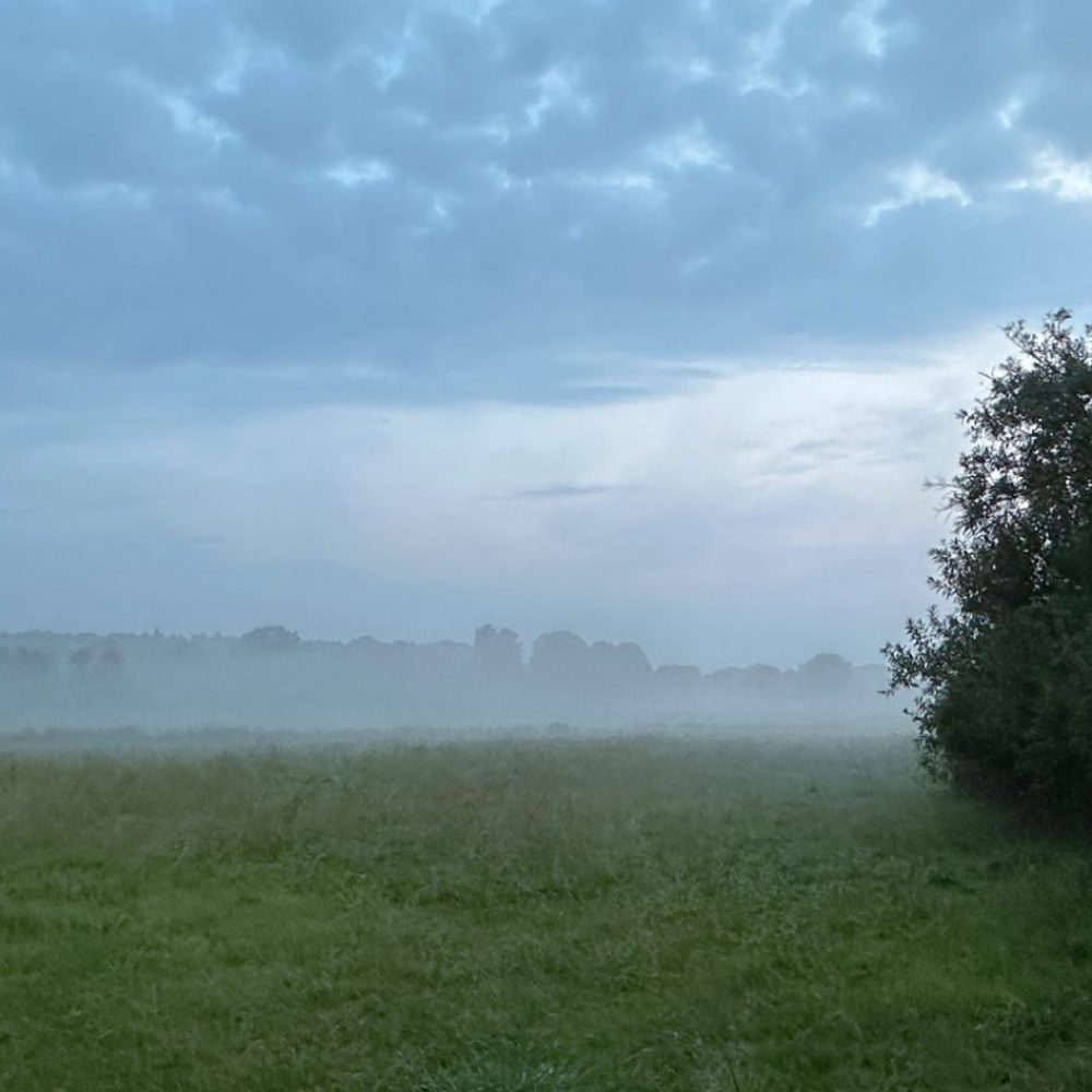 photodyssey_gallery_hamburg_feld_august_2024