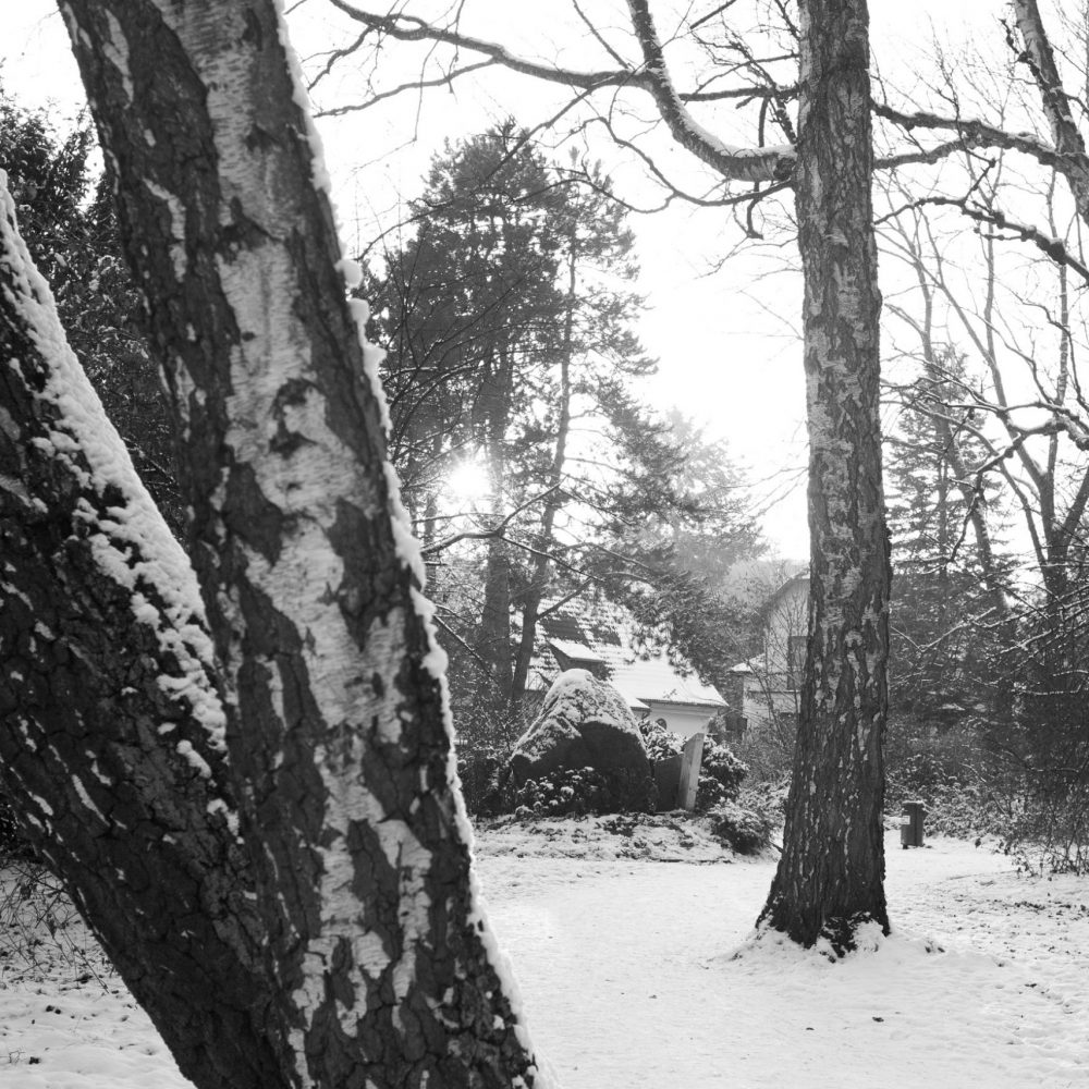 photodyssey_gallery_hamburg_kupferteich_weg_dezember_2023
