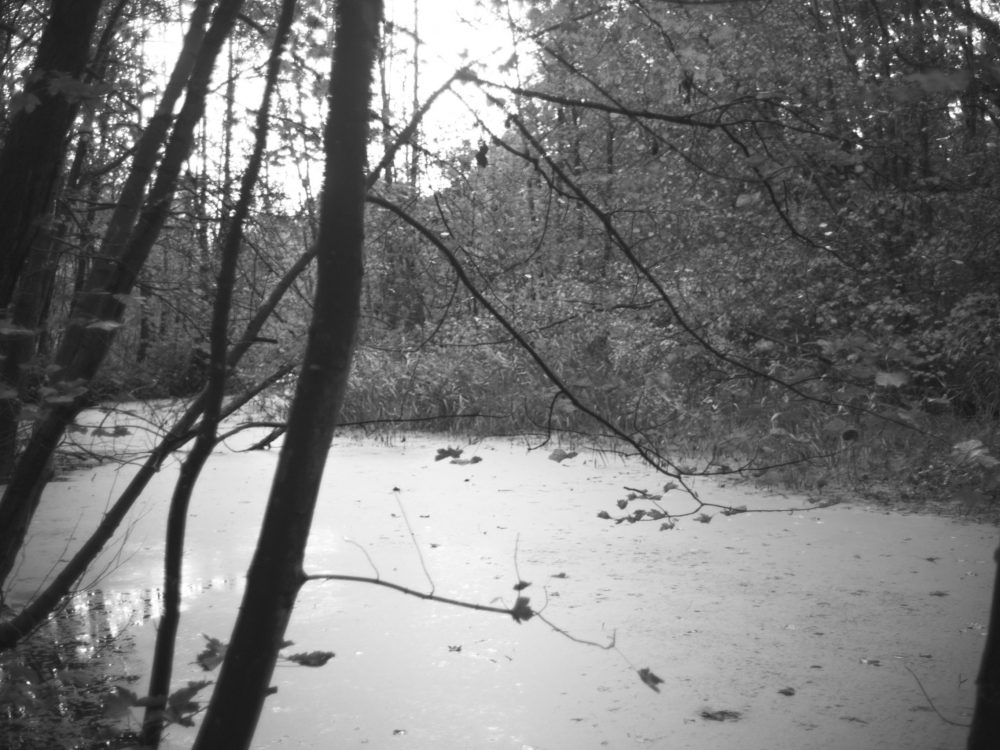 L1006704_bearbeitet